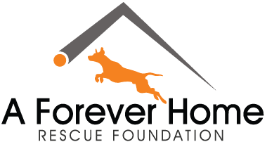 A forever home sales animal rescue